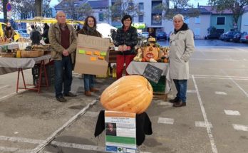 Collectif pour Albi, Action de porteur de parole au marché du Castelviel